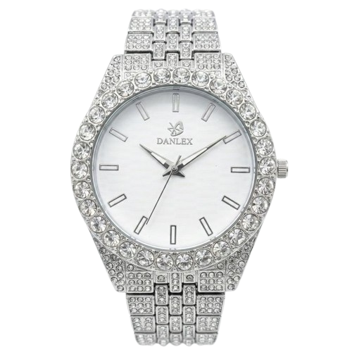 Danlex watch