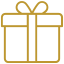 Gift package icon